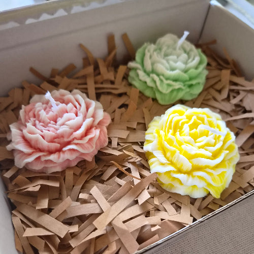 PACK 3 Velas PEONÍA Artesanales en Cera de Soja | Caja Floral Premium |  Regalo Personalizable
